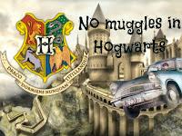 No muggles in Hogwarts