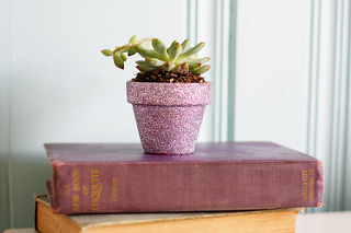 Macetas bonitas para cactus Macetas bonitas para cactus