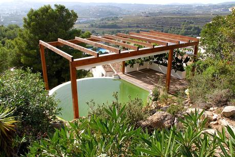 Primera piscina natural depurada por un jardín vertical. Piscina ecológica en Alicante