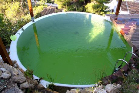Primera piscina natural depurada por un jardín vertical. Primera piscina natural depurada por un jardín vertical.