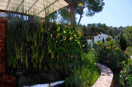 Primera piscina natural depurada por un jardín vertical. Piscina natural y jardín vertical