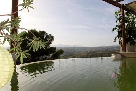 Primera piscina natural depurada por un jardín vertical. Piscina natural en Alicante