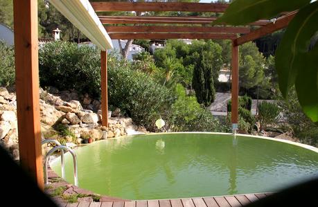 Primera piscina natural depurada por un jardín vertical. Piscina natural en Alicante