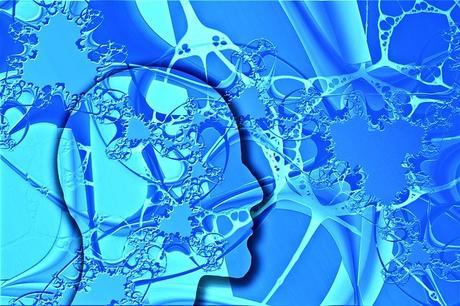 Cerebros de derechas/izquerdas y de creyentes/ateos Cerebros de derechas/izquerdas y de creyentes/ateos