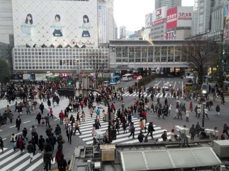 Tokio: Un perro, un cruce, un monte centroTokio