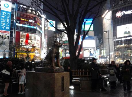 Tokio: Un perro, un cruce, un monte perroTokio