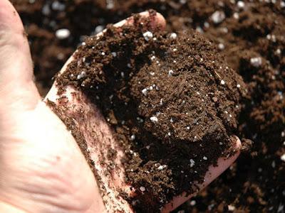 mejorar el suelo mejorar el suelo