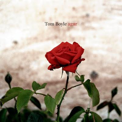 TOM BOYLE Avanza Nuevas Canciones