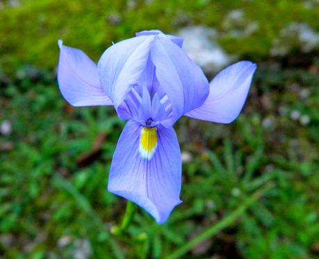 El jardín de La Saleta en Otoño, del 15-31 de octubre de 2014. Saleta's Garden in Autumn, 15-31 october 2014. El jardín de La Saleta en Otoño, del 15-31 de octubre de 2014. Saleta's Garden in Autumn, 15-31 october 2014.