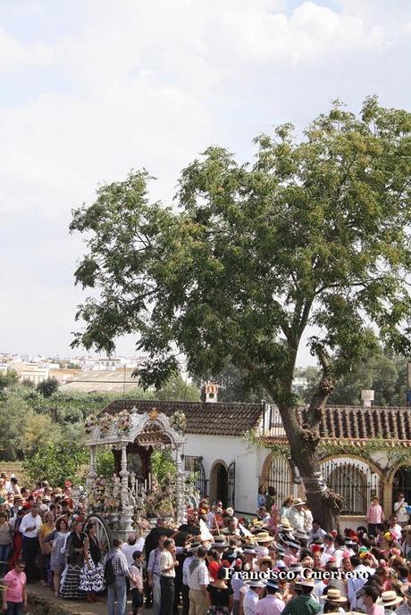 Los momentos que se fueron (Sevillanas) Los momentos que se fueron (Sevillanas)