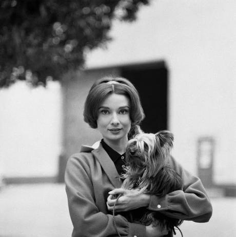 Las mascotas de Audrey Hepburn