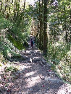 Trekking Annapurna Base Camp. Etapas. II Parte Trekking Annapurna Base Camp. Etapas. II Parte