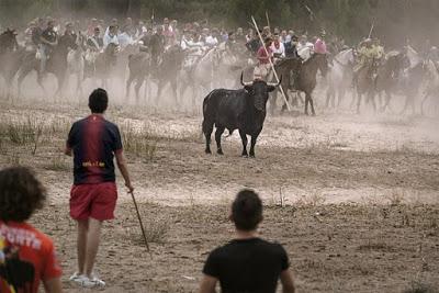 “Santa Fiesta”, documental sobre la muerte de animales en las fiestas españolas. “Santa Fiesta”, documental sobre la muerte de animales en las fiestas españolas.