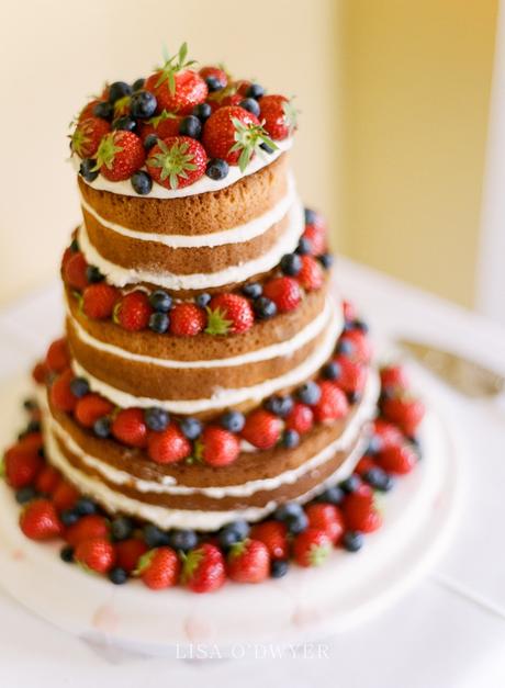 Naked Cakes o Pasteles Desnudos