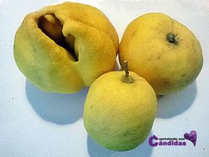 El limón y sus propiedades, todo lo que no sabías sobre él, Parte 1 el limón y sus propiedades