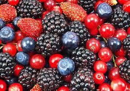 frutos32 Frutos del bosque y bayas: vitaminas, antioxidantes para la salud y belleza