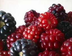 moras Frutos del bosque y bayas: vitaminas, antioxidantes para la salud y belleza