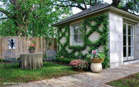 Plantas trepadoras en fachadas