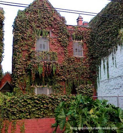 Plantas trepadoras en fachadas