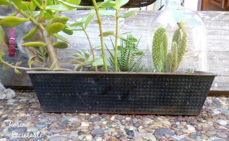 Si la vida te da budineras;hacelas jardineras... Si la vida te da budineras;hacelas jardineras...