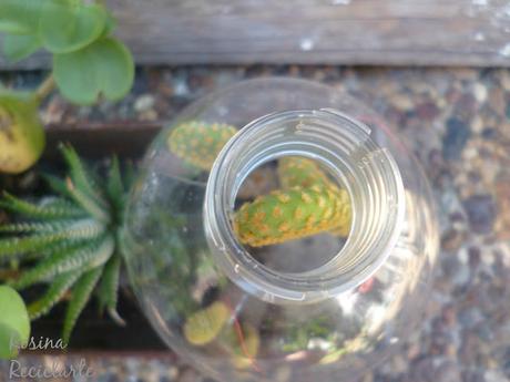 Si la vida te da budineras;hacelas jardineras... Si la vida te da budineras;hacelas jardineras...