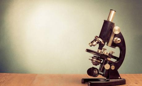 Cómo funciona el método científico Cómo funciona el método científico