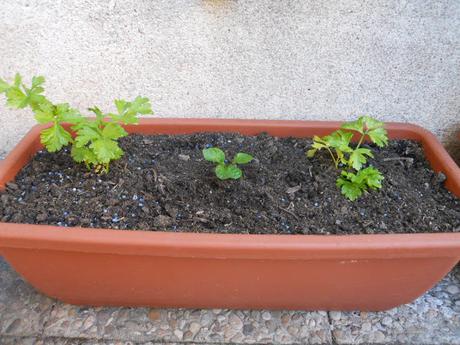 16.06.2012 16.06.2012