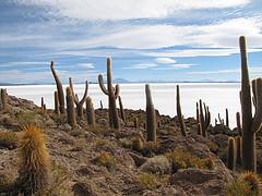 Uyuni 2015-04-16 16.47.30