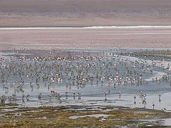 Uyuni 2015-04-17 16.44.16