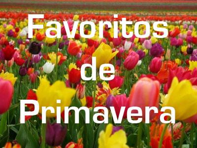 Favoritos Primavera '15 Favoritos Primavera '15