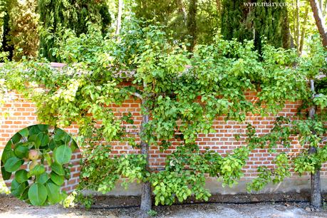 Un jardín para un príncipe