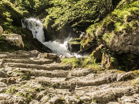 Parque Natural de Redes (Foces del Río Pino)