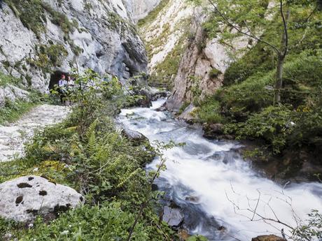 Parque Natural de Redes (Foces del Río Pino)