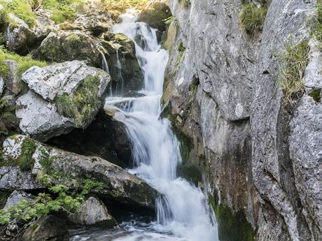 Parque Natural de Redes (Foces del Río Pino)