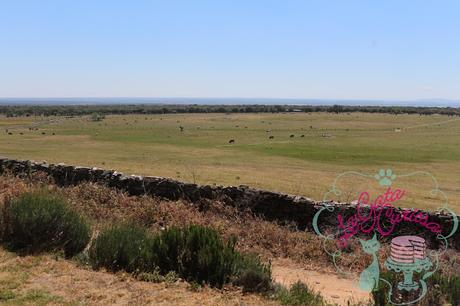 TARTA FONDANT COMUNION MARIAN TARTA FONDANT COMUNION MARIAN