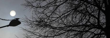 1614570_10204697417613588_84217298626709913_o image