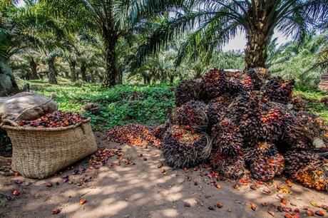 Montañas y lagos Montañas y lagos