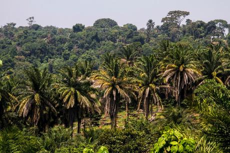 Montañas y lagos Montañas y lagos
