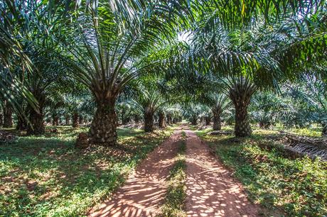 Montañas y lagos Montañas y lagos