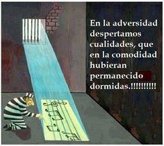 RESILENCIA: LA ACTITUD QUE TRANSFORMA LA ADVERSIDAD EN APRENDIZAJE Y CAMBIOS RESILENCIA: LA ACTITUD QUE TRANSFORMA LA ADVERSIDAD EN APRENDIZAJE Y CAMBIOS