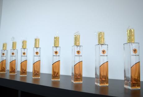 Fraganzias Mi vestido azul - Fraganzias (11)