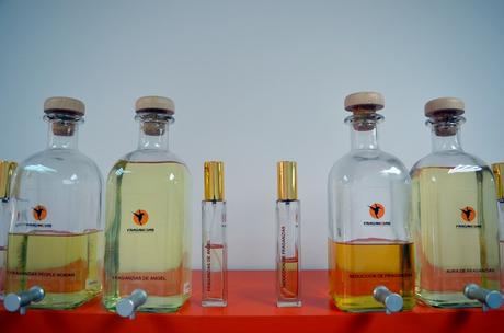 Fraganzias Mi vestido azul - Fraganzias (6)