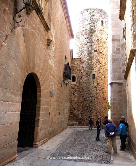 Torre y Palacio de los Carvajal 