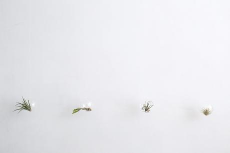 INTO LEAF INTO LEAF