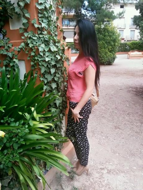 Os Ponéis Lunares ... Os Ponéis Lunares ...