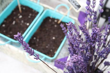 Diy: jardinera con una caja de fresas