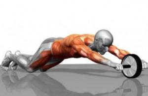 Rueda tus abdominales 84968789