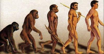 La selección natural de Darwin La selección natural de Darwin
