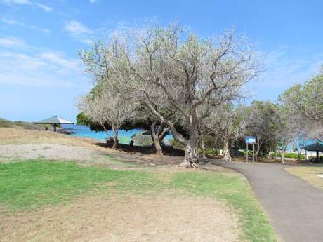 Hapuna beach en Big Island, Hawaii Hapuna beach en Big Island, Hawaii