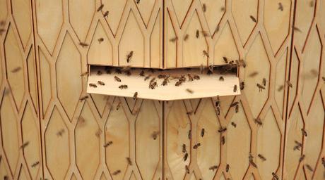 Importancia de las abejas en dos grandes colmenas - Importance of bees in two large hives.
